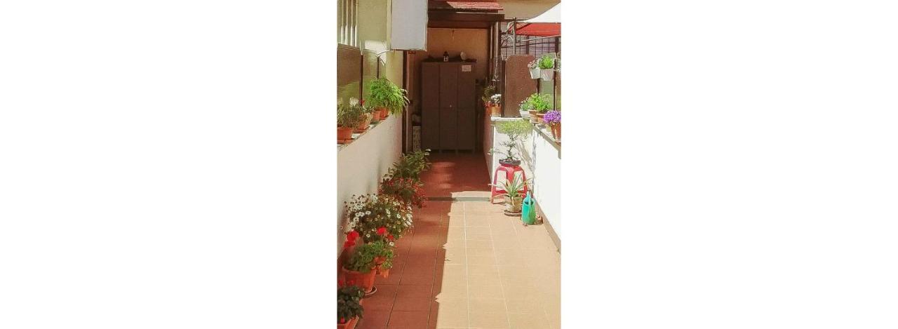 Apartamento St. Peter Sweets Roma Exterior foto